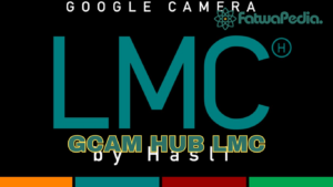 Gcam hub lmc