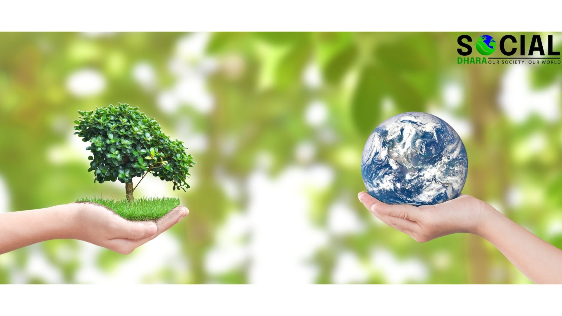 Two hands holding a small plant and the Earth in front of a blurred background of green leaves, emphasizing the importance of nature in our daily lives and its impact on human health.