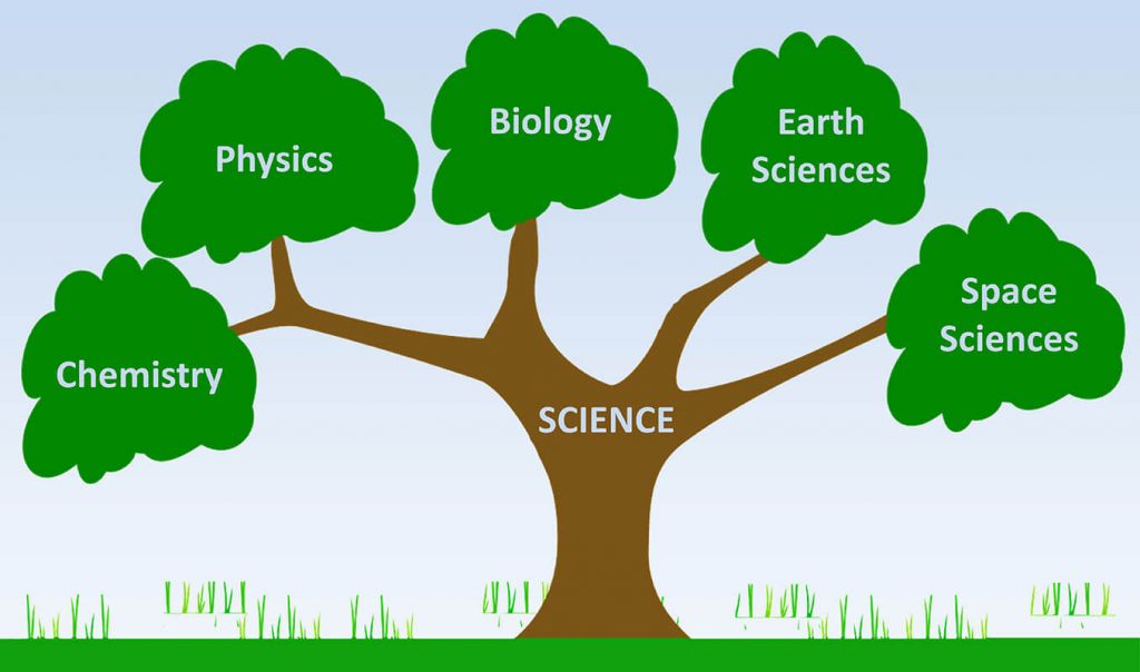 A tree diagram shows the branches of science, which are physics, chemistry, biology, earth sciences, and space sciences.