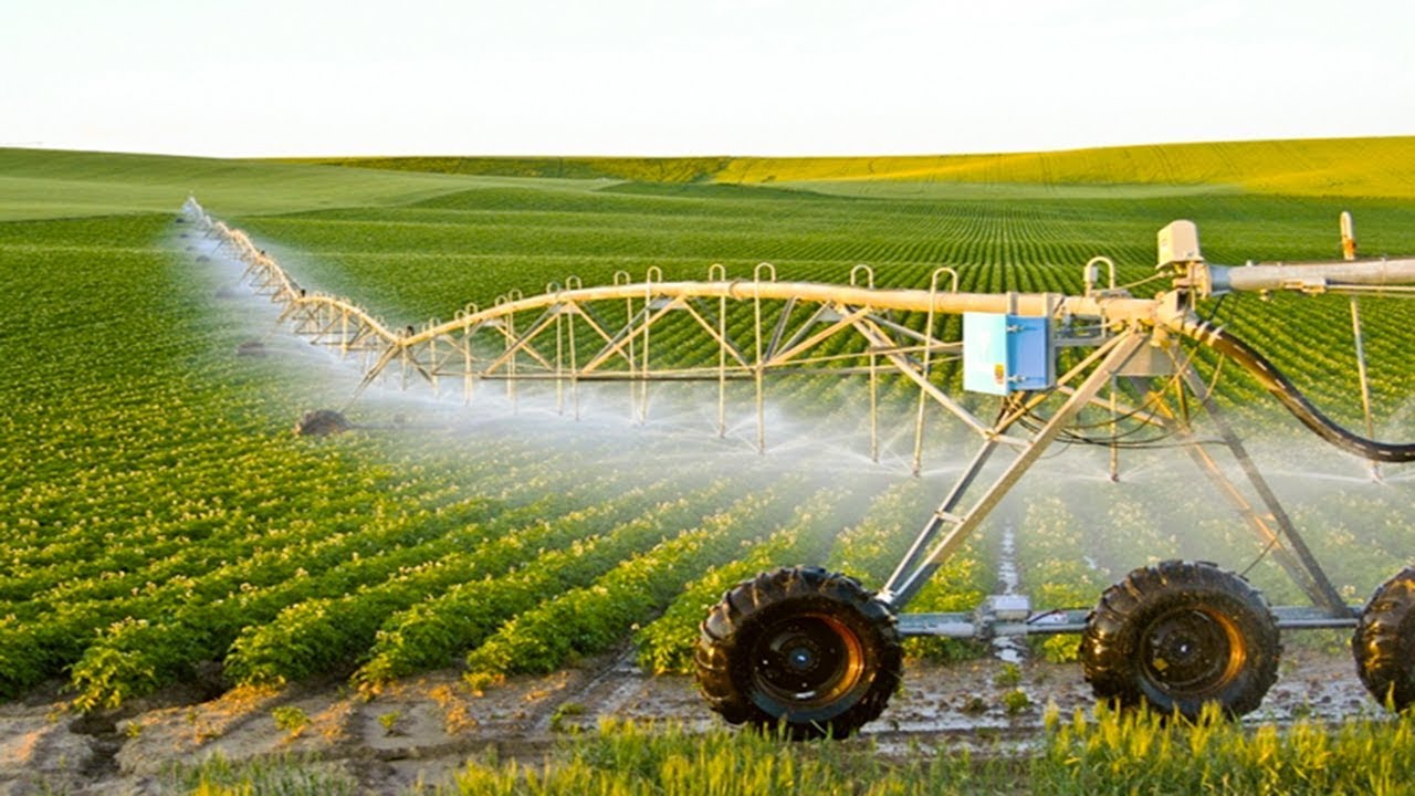 A modern agricultural field with a large irrigation system watering crops in the hot sun.