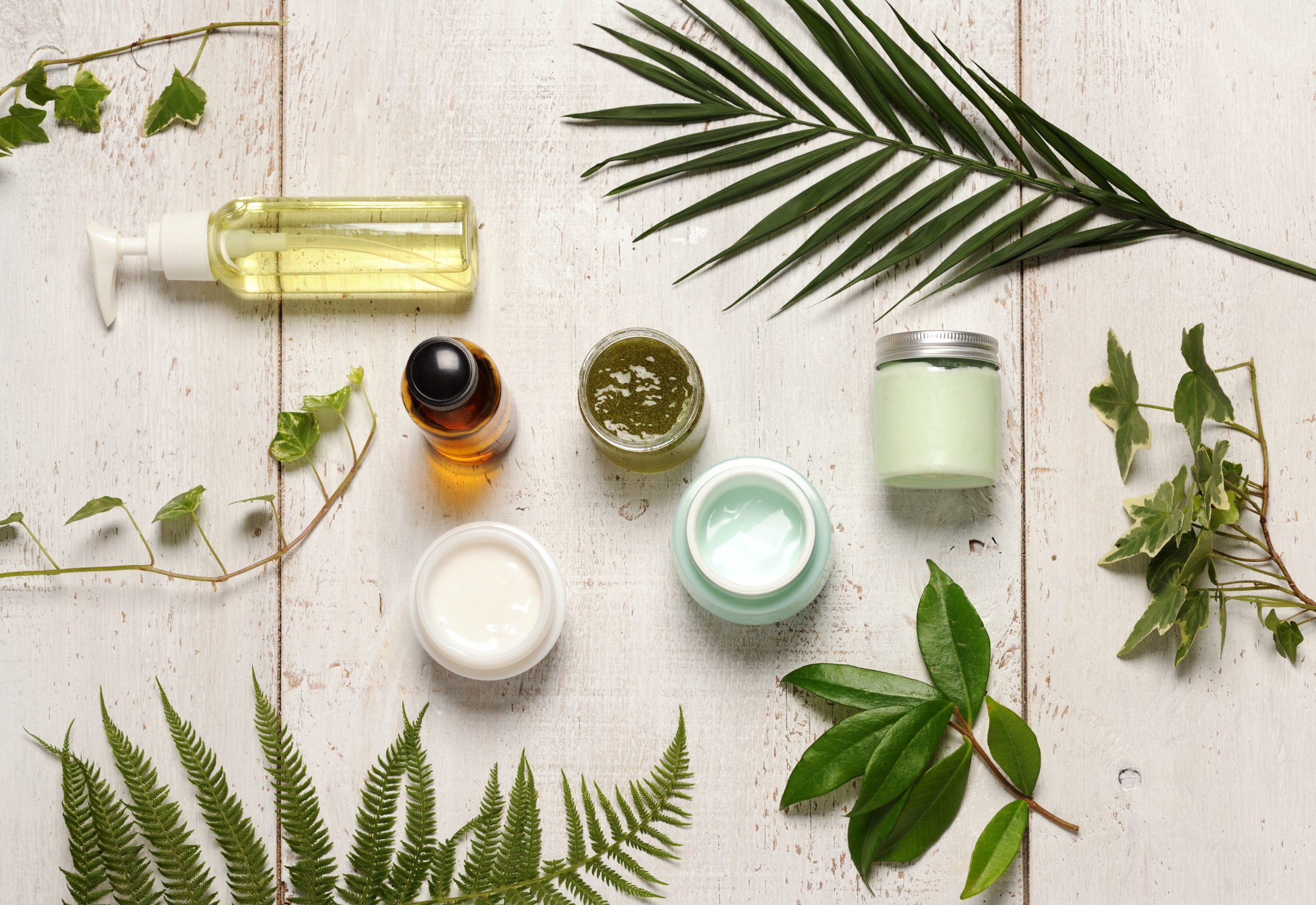 Natural skincare products with aloe vera and coconut oil are displayed on a whitewashed wooden background, surrounded by green leaves.