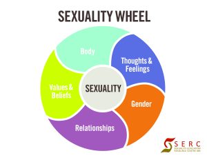 The image shows a diagram representing the Sexuality Wheel, with five sections labeled Body, Thoughts & Feelings, Values & Beliefs, Gender, and Relationships. The diagram illustrates the interconnectedness of these aspects and their influence on an individual's sexuality. The image is relevant to the search query as it provides a visual representation of the key components of comprehensive sexuality education for youth.