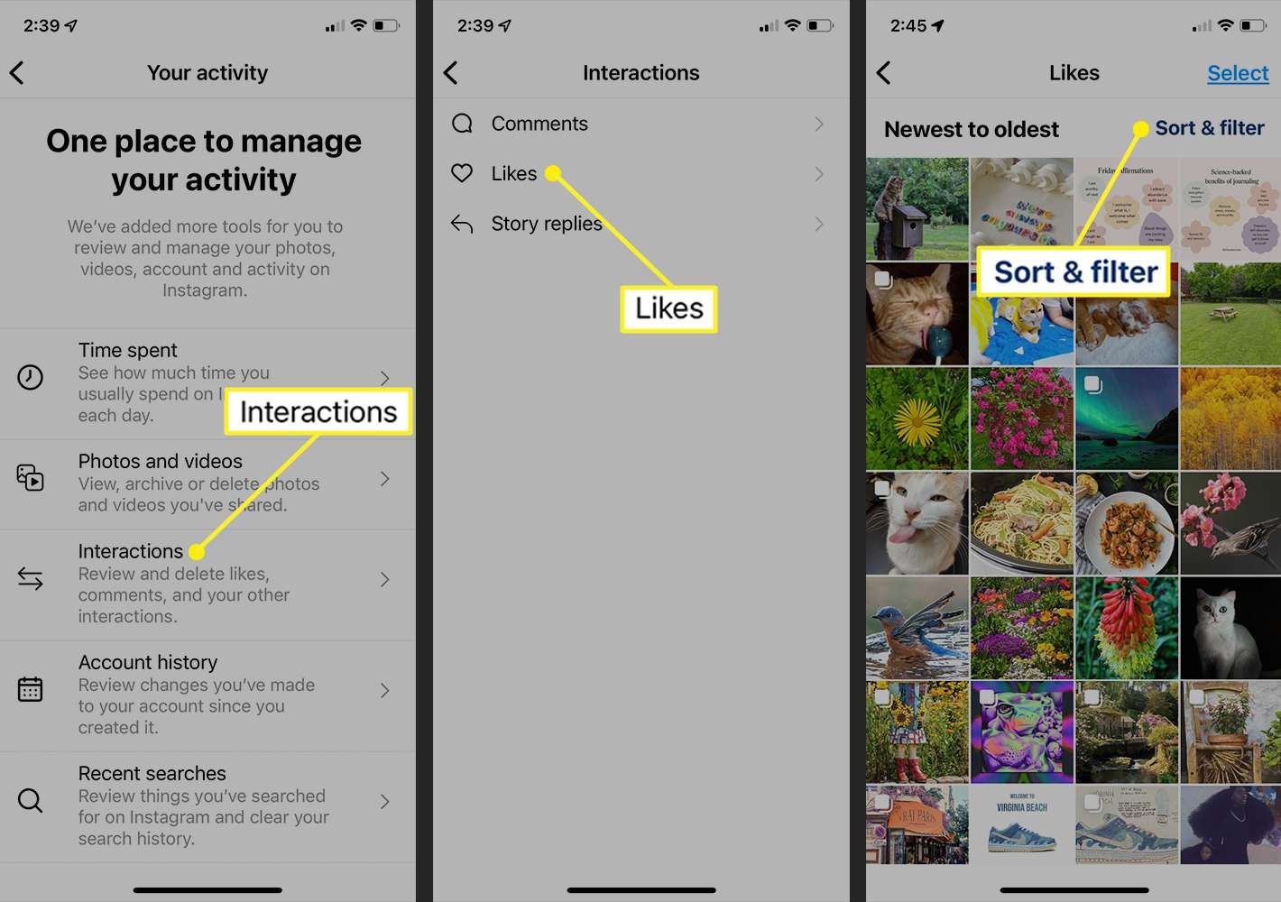 A step-by-step guide to viewing liked posts on Instagram. To view your liked posts, tap on the profile icon in the bottom right corner of the screen, then tap on the three lines in the top right corner and select 'Settings'. From there, tap on 'Account' and then 'Posts you've liked'.
