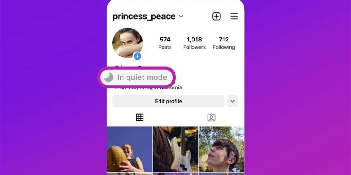 A screenshot of a mobile phone with the Instagram app open. The profile page of a user named 'princess_peace' is displayed, with a blue 'Quiet mode' button at the top of the screen.