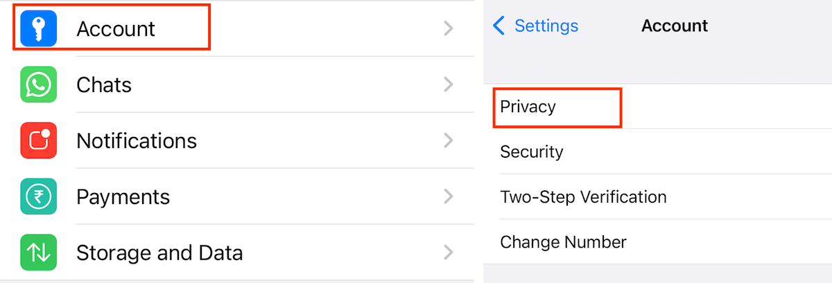 A screenshot of the WhatsApp settings menu with the 'Privacy' option highlighted, which can be used to view WhatsApp statuses without being seen.
